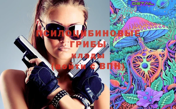 стафф Михайлов
