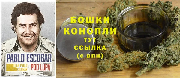 spice Мегион