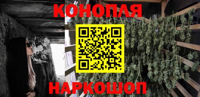 амф Заволжье