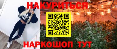 амф Заволжье