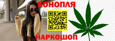a pvp Заводоуковск