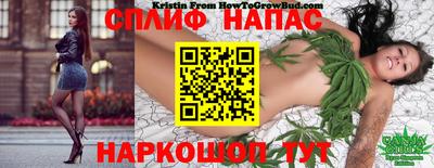 a pvp Заводоуковск