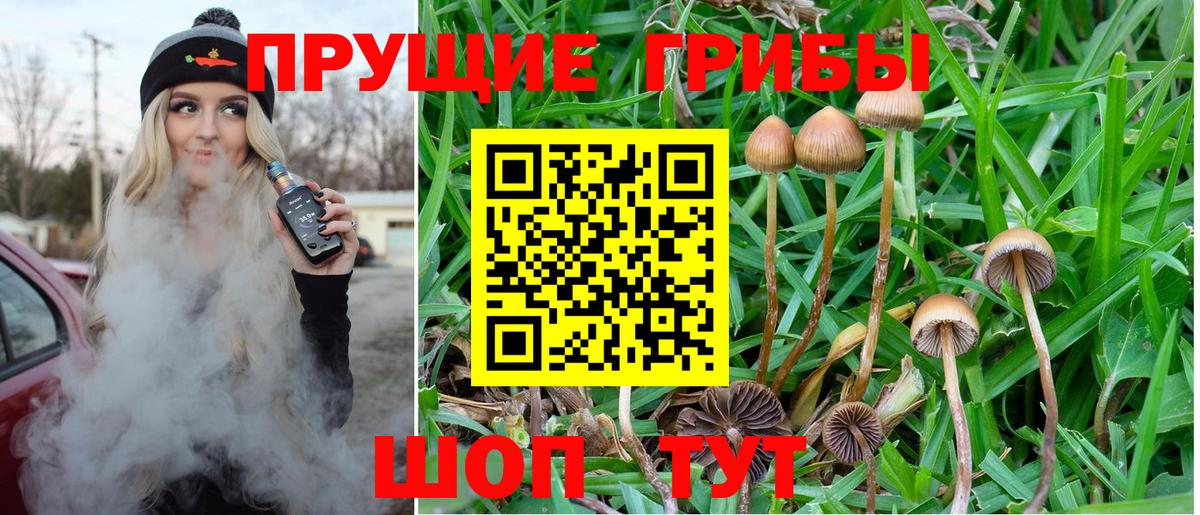 Псилоцибиновые грибы мицелий  Псилоцибиновые грибы мухоморы  сколько стоит  Моздок  Вход с VPN 
