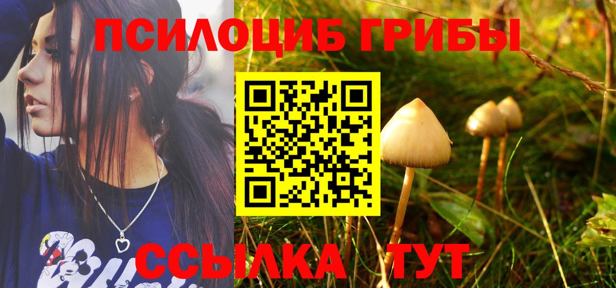 Псилоцибиновые грибы прущие грибы Моздок